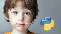 Real-Time Face Detection